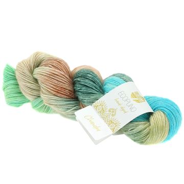 ECOPUNO Hand-dyed  no 509